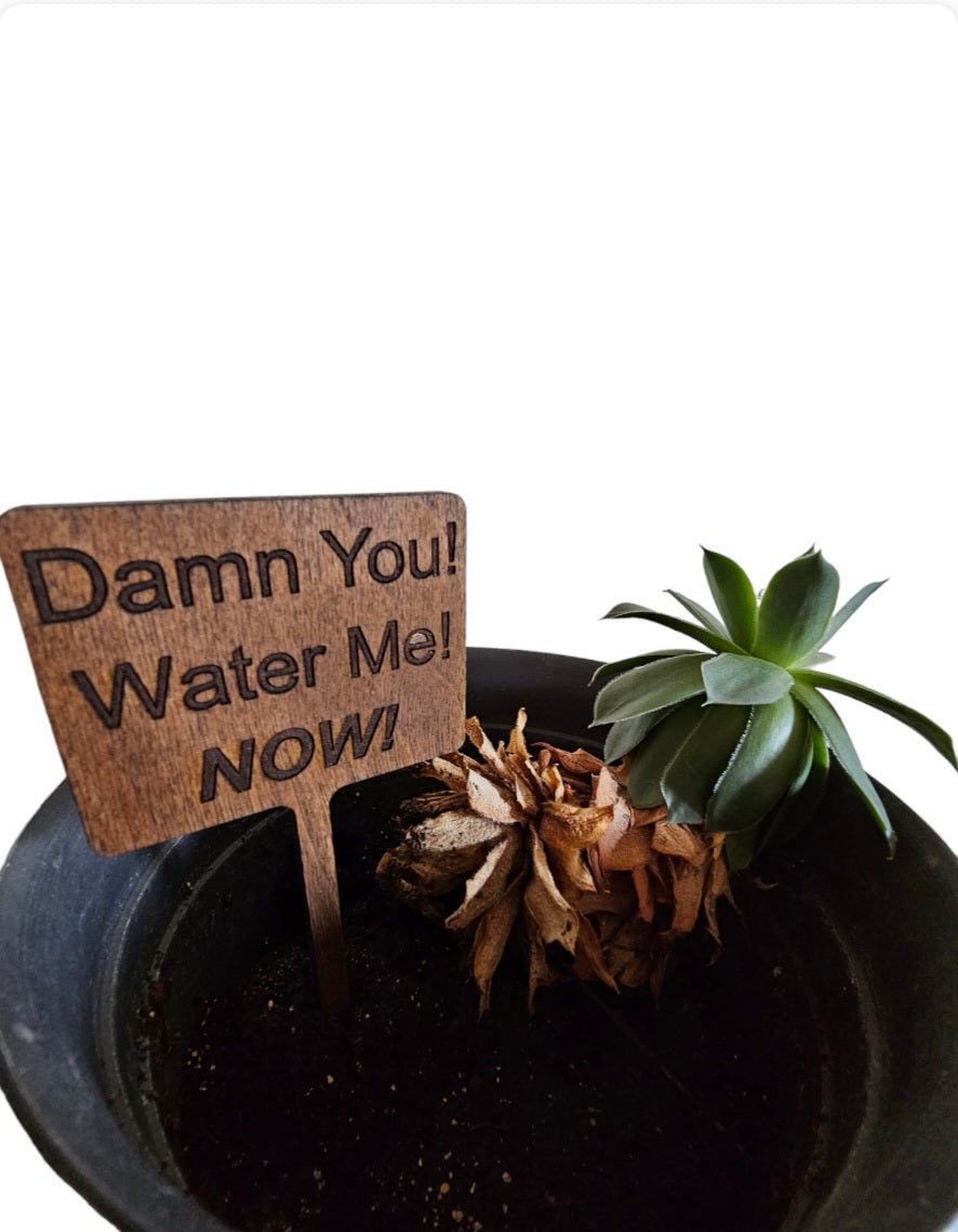 Whittled Wisdom - Plant Signs (Qty-5)