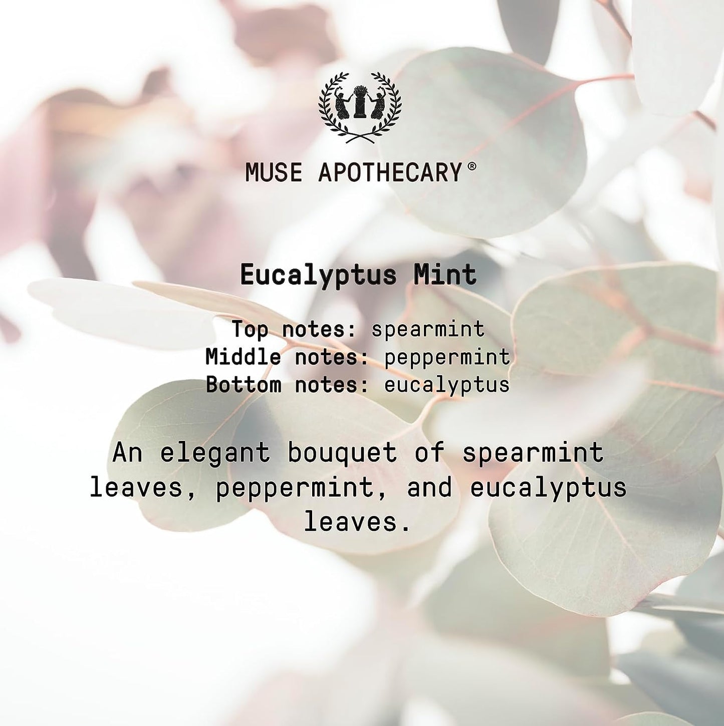 Yoga Ritual - Aromatic and Refreshing Yoga Mat Cleaner, 8 Oz, Infused with Essential Oils - Eucalyptus Mint, 2 Pack